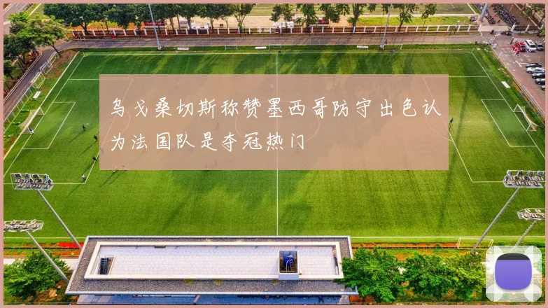 乌戈桑切斯称赞墨西哥防守出色认为法国队是夺冠热门